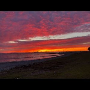 Meet your Posher, Yasmeen